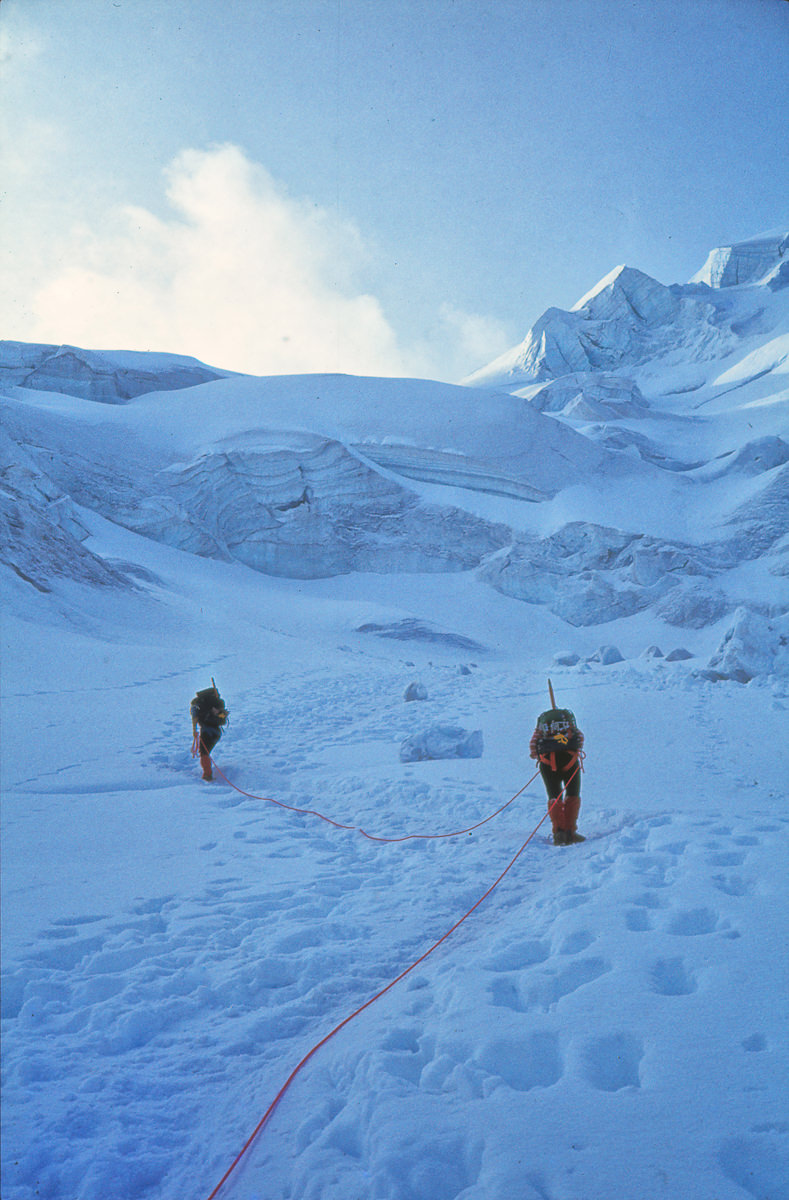 gesicherter Aufstieg über den Gletscher zum Ortlergipfel